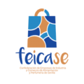 FEICASE